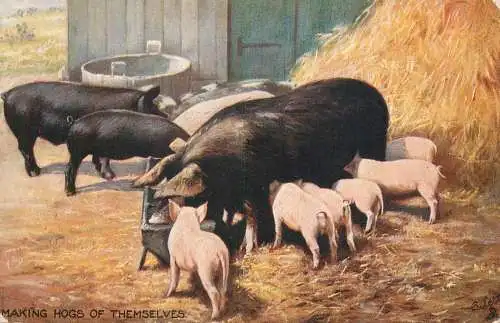 Pigs cochons making hogs of themselves