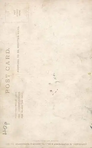 Still life with cherries