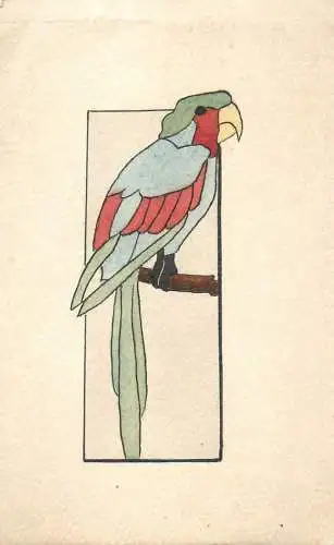 Drawn parrot