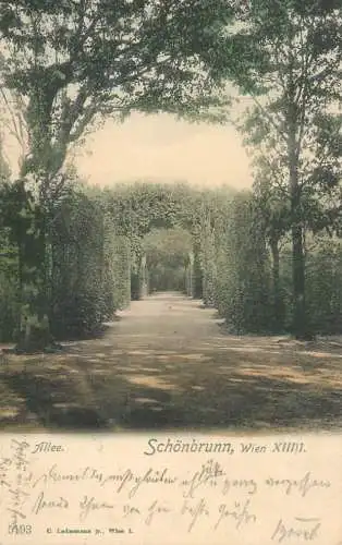 Schönbrunn Palace Allee Wien