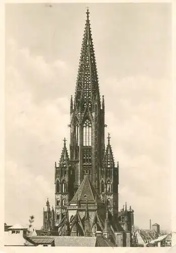 Germany Freiburg im Breisgau Das Munster