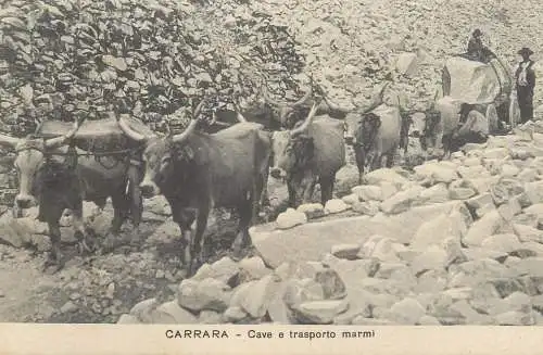 Italia CARRARA convoglio che trasporta marmo con buoi
