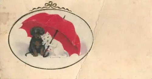 Adorable dog & cat under umbrella 6 x 11 cm
