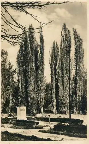 Romania Caracal parcul 1953