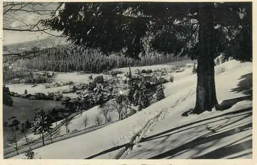 Germany Todtmoos im Schwarzwald im Winter