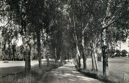 Germany Bad Worishofen Kneippheilbad Birkenallee beim Sonnenhof