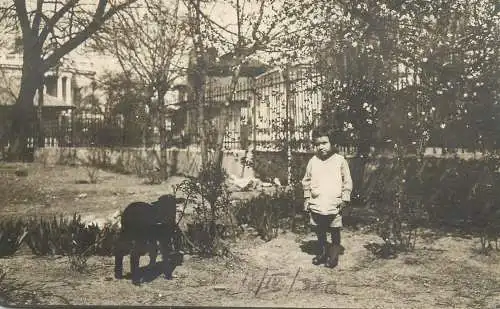 Photographic postcard child with lamb photo