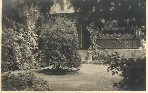 Photographic postcard M. Tremmel Tettnang