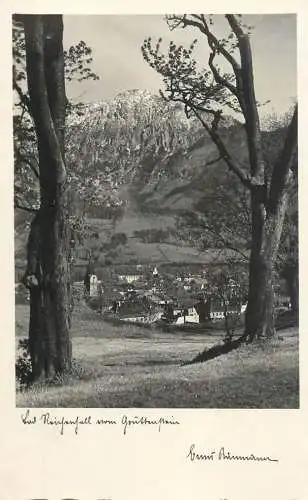 Germany Reichenhall panoramic view
