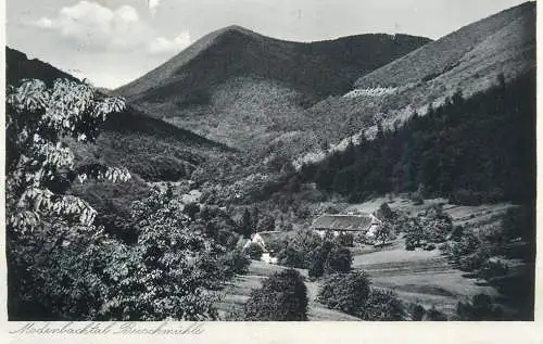 Germany Modenbachtal Buschmuhle