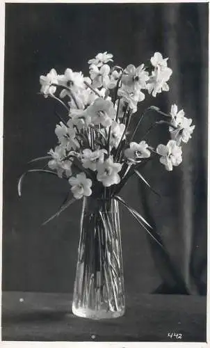 Photographic postcard flowers vase