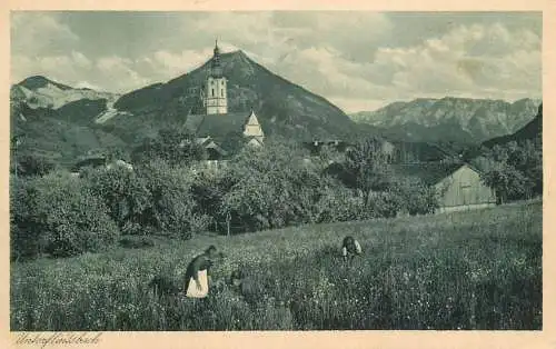 Germany Unterflintsbach mit Kranzhorn und Kaisergebirge agricultural types and scenes