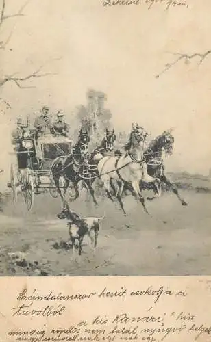 Hungary horses carriage 1904
