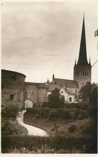 Eesti Tallin Suur Rannavarav