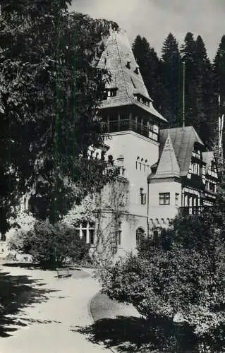 Romania Vedere din Sinaia Pelisorul