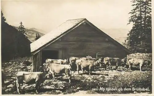 Switzerland Alp Haldeli