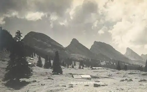 Switzerland Sillamatt mit Churfirsten