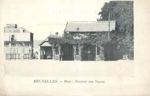 Belgium surface public transport tramway Bruxelles station des trams