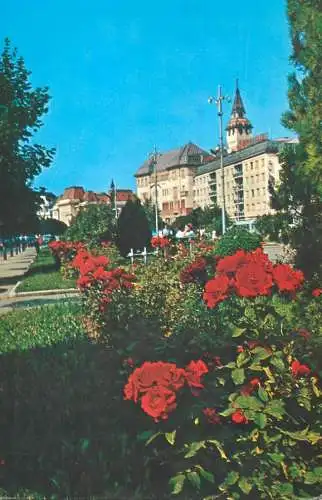 Romania Targu Mures
