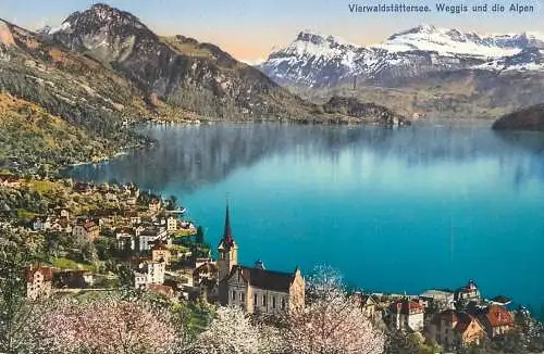 Switzerland vierwaldstattersee Weggis und alpen
