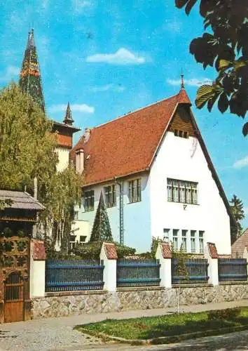 Romania Sf Gheorghe - Muzeul
