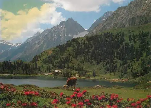 Austria Wanderparadies am Obersee