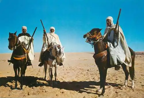 Africa Algiers saharian cavalry