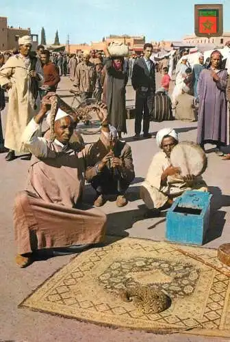 Morocco snake charmer