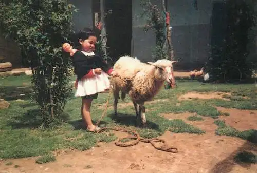 Children types and scenes young girl with sheep