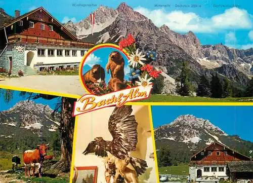 Austria Alpengasthof Bachlalm