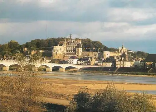 France Amboise castle
