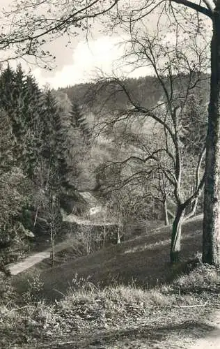Germany Luftkurort Grab im Schwab Wald Schontalsagmuhle