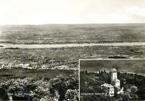 Germany Blick in den Rheingau und Hallgartener Zange