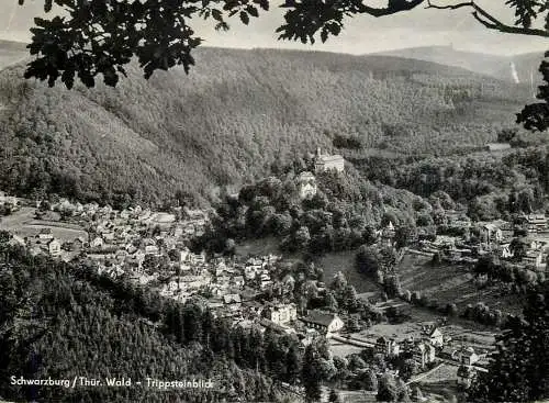 Germany Schwarzburg/Thuringen Wald Trippsteinblick
