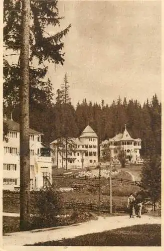 Romania Borsec casa de odihna