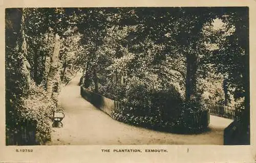 United Kingdom England Exmouth plantation