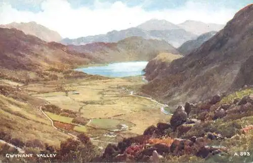 United Kingdom Wales Gwynant Valley
