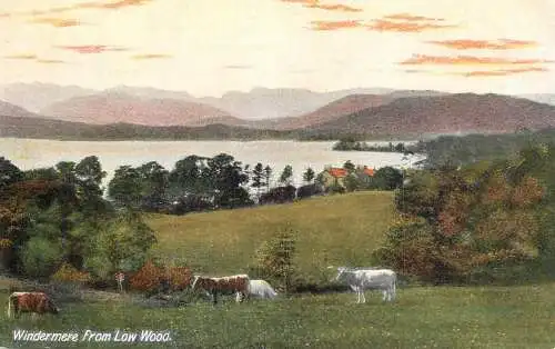 United Kingdom England Windermere from Low weood