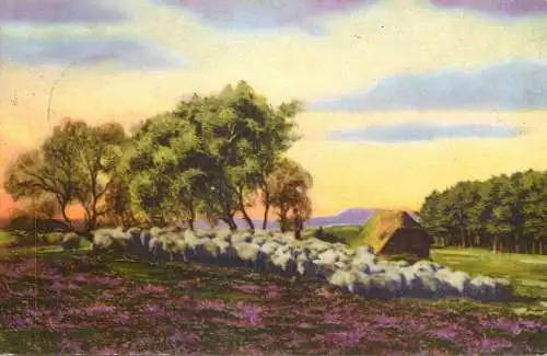 Germany landscape with sheep