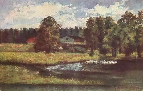 Germany pond and swans