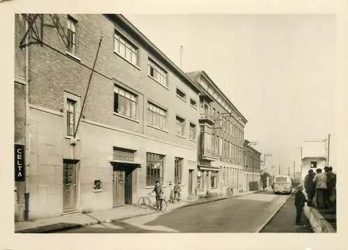 Belgium Zottegem Rue Musselij