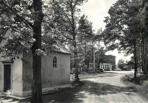 Belgium Halle (Kempen) Hotel-Restaurant-Pension "St Martinushoeve"