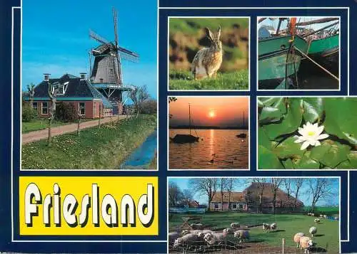 Netherlands Friesland different aspects and sights