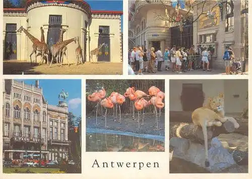 Belgium Groeten uit Antwerpen multi view