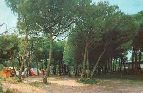 Postcard hotel restaurant camping Estrella del Mar Barcelona