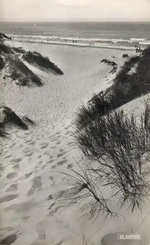 France Merlimont dunes
