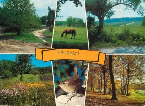 Belgium Vielsalm different aspects
