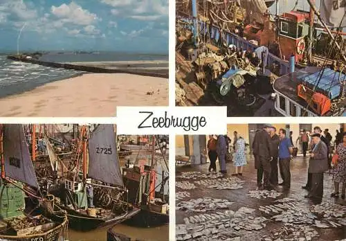 Belgium Zeebrugge multi view