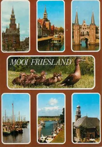 Netherlands Beautiful Friesland multi view