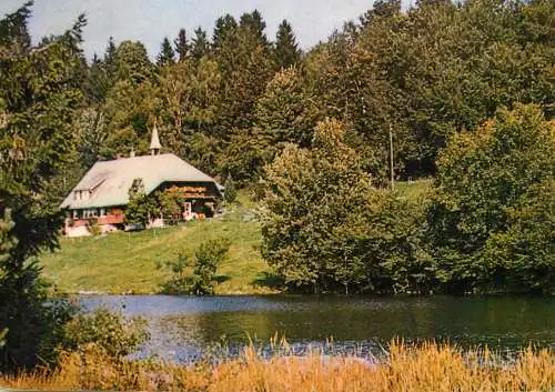 Germany Klosterweiher bei St Blasien